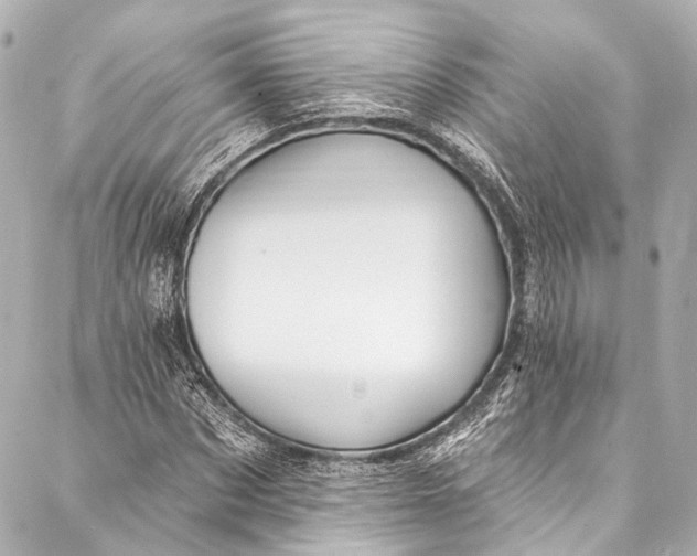 X0000087030873200705071532