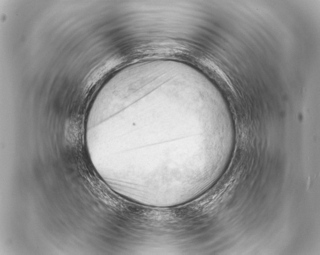 X0000087030874200705071532