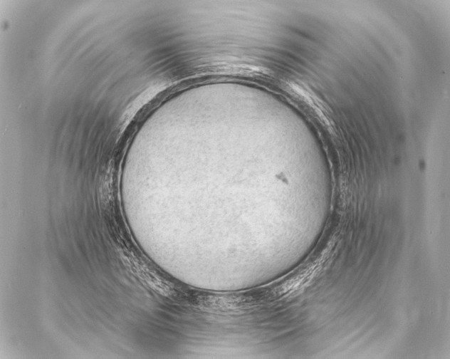 X0000087030875200705071532