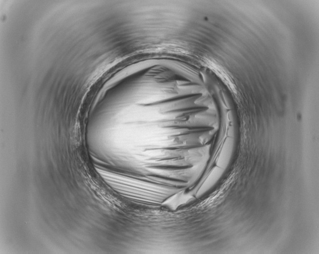 X0000087030876200705071532