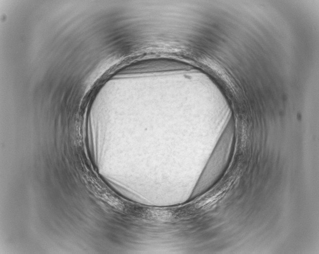 X0000087030878200705071532