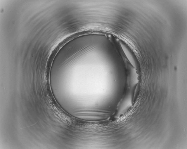 X0000087030880200705071532