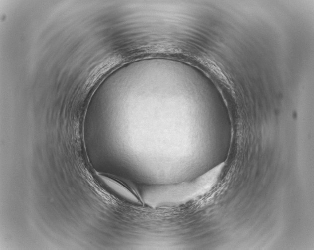 X0000087030881200705071532