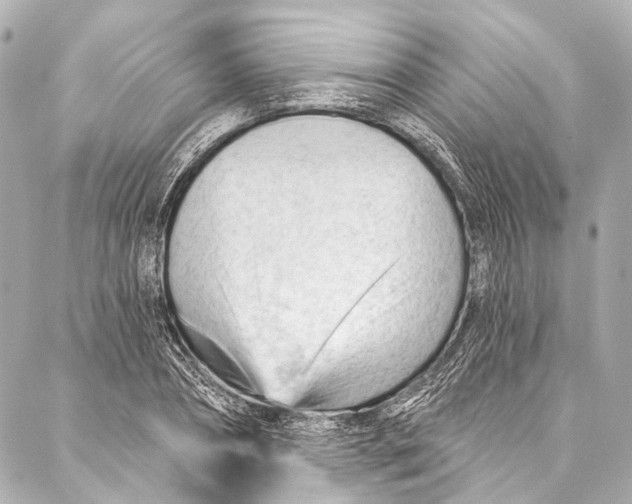 X0000087030882200705071532