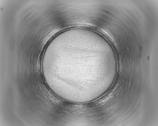 X0000087030883200705071532