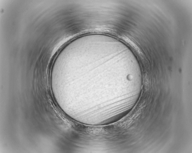 X0000087030886200705071532