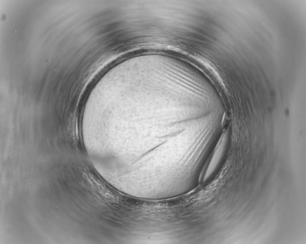 X0000087030887200705071532