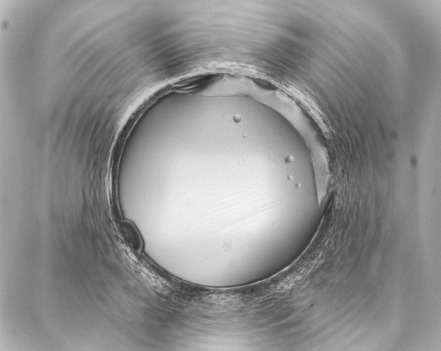 X0000087030888200705071532