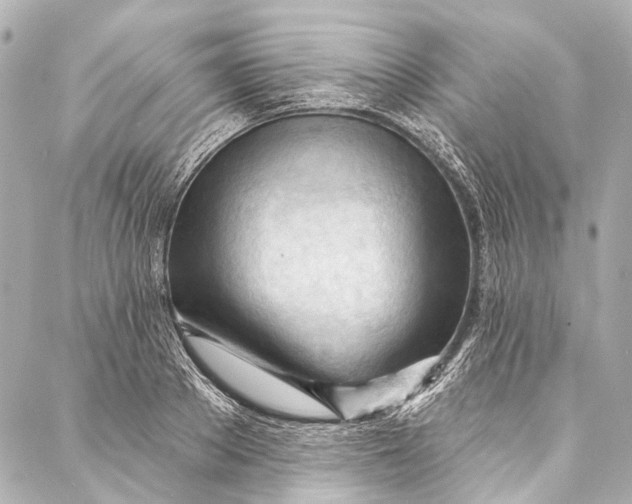 X0000087030889200705071532