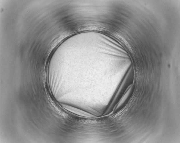 X0000087030890200705071532