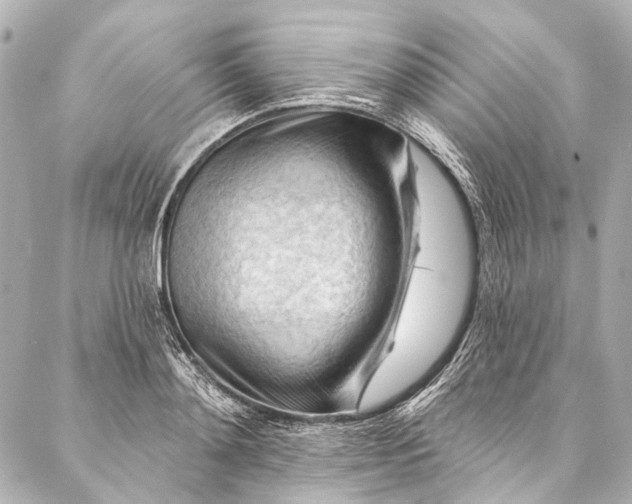 X0000087030892200705071532