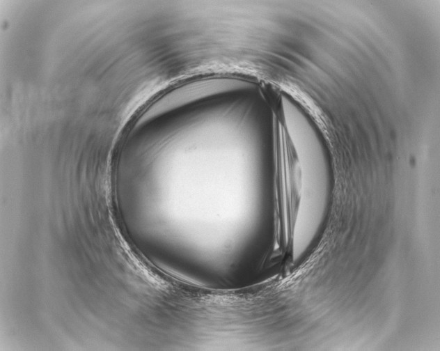 X0000087030894200705071531