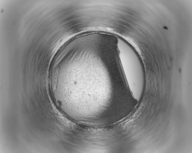 X0000087030895200705071531