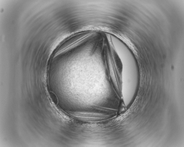 X0000087030896200705071531