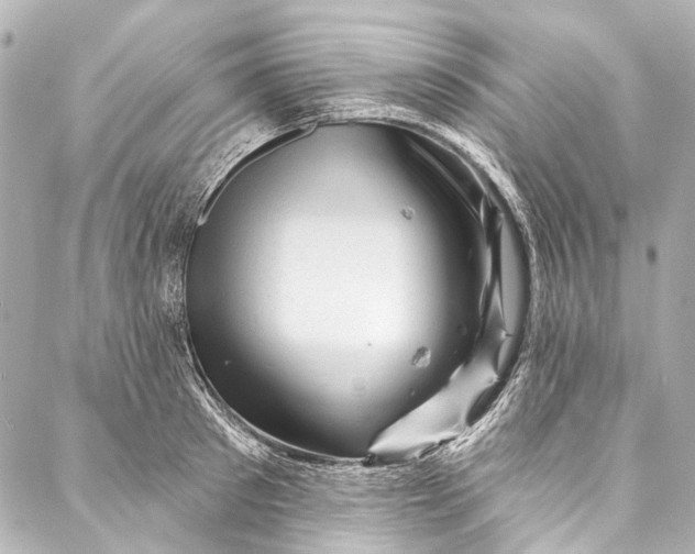 X0000087030897200705071531