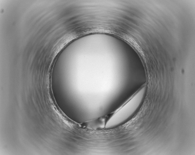 X0000087030898200705071531