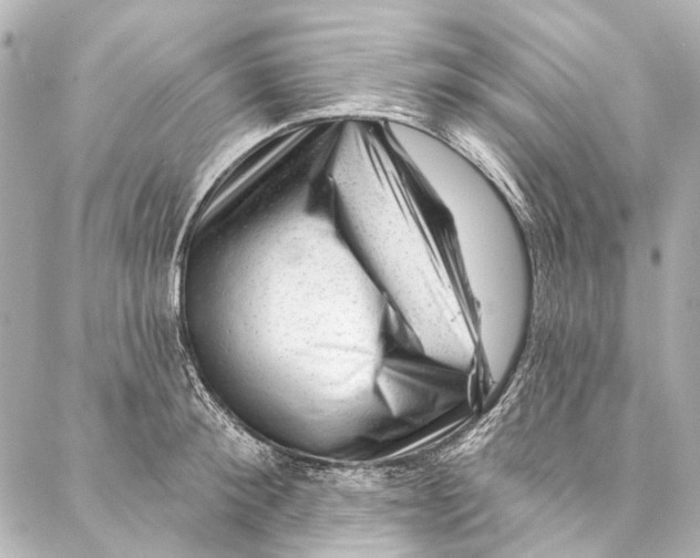 X0000087030900200705071531