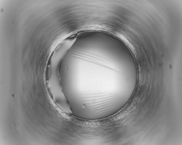 X0000087030901200705071531