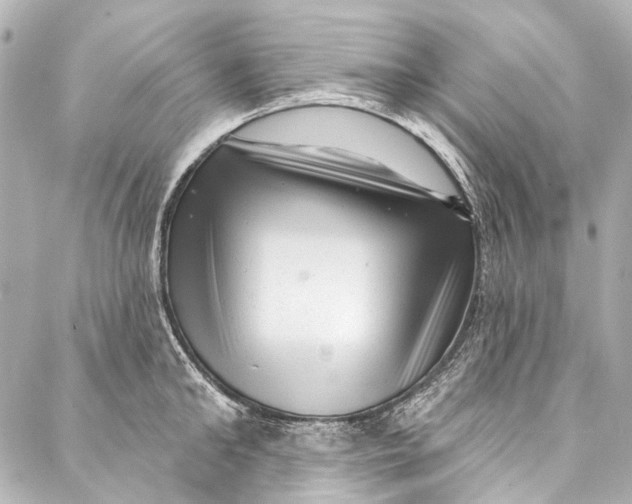 X0000087030902200705071531