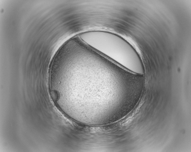 X0000087030903200705071531