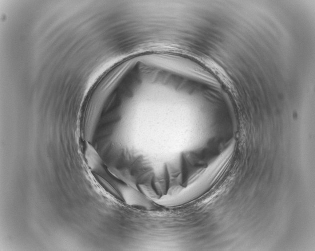 X0000087030904200705071531