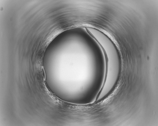 X0000087030905200705071531