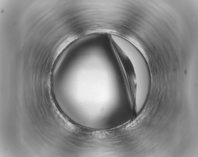 X0000087030906200705071531