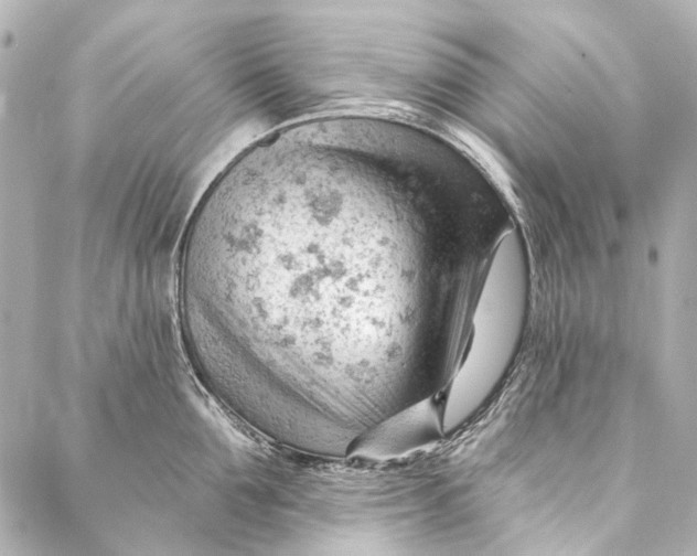 X0000087030907200705071531