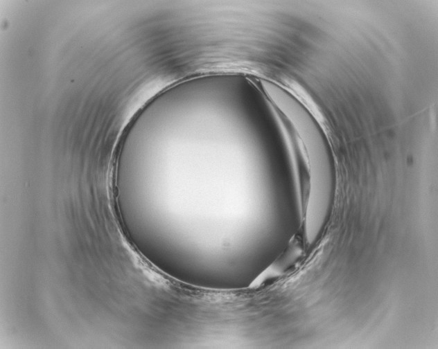 X0000087030909200705071531