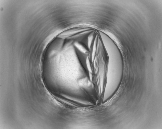 X0000087030910200705071531