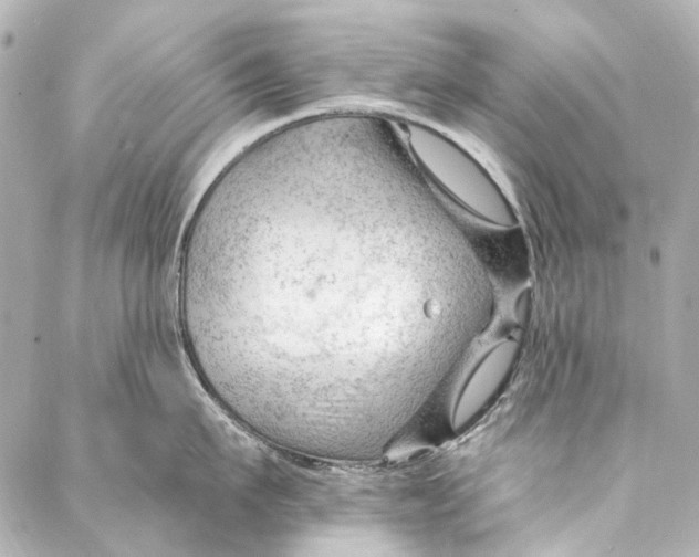 X0000087030911200705071531