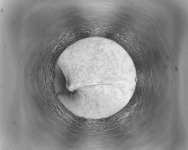 X0000087030913200705071530