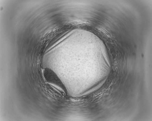 X0000087030917200705071530