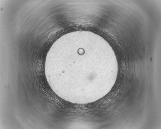 X0000087030918200705071530