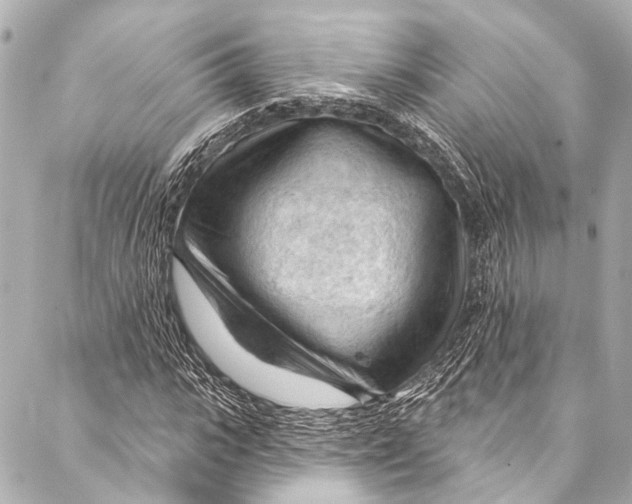 X0000087030919200705071530