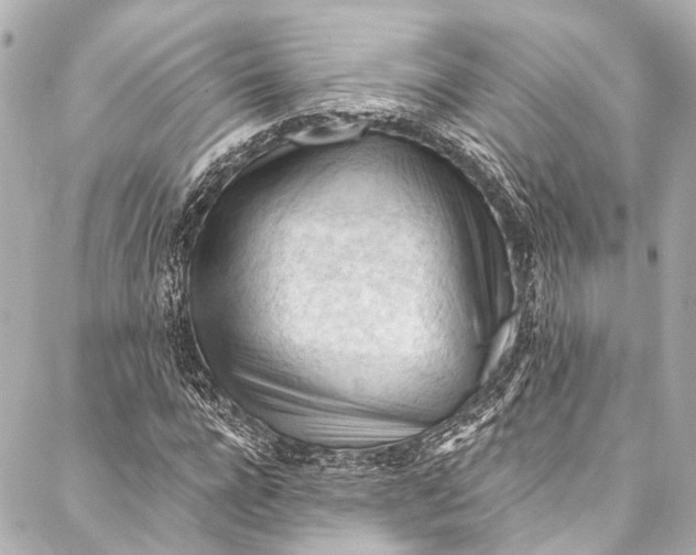 X0000087030920200705071531