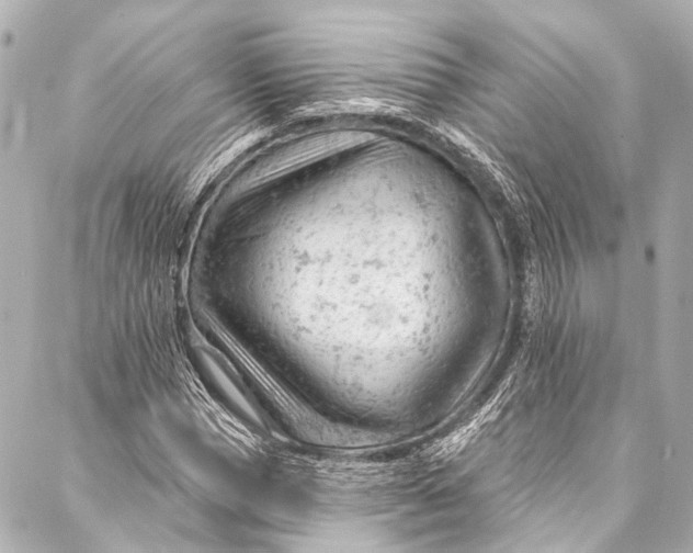 X0000087030921200705071531