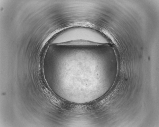 X0000087030923200705071531