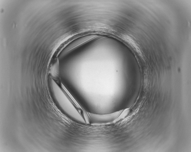 X0000087030924200705071531