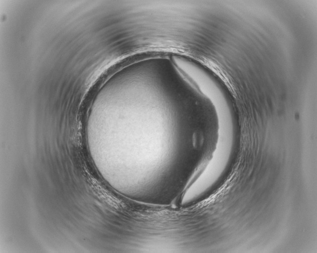 X0000087030926200705071531