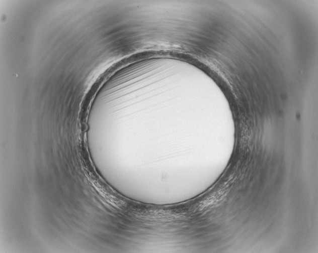 X0000087030927200705071531