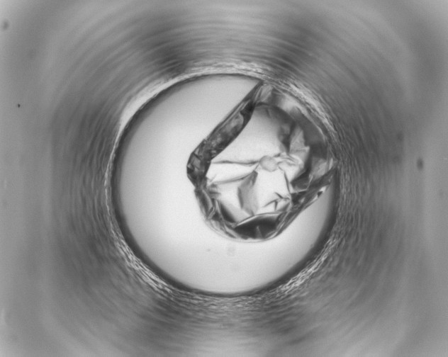 X0000087030928200705071531