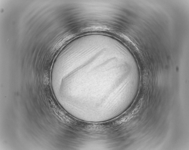 X0000087030929200705071531