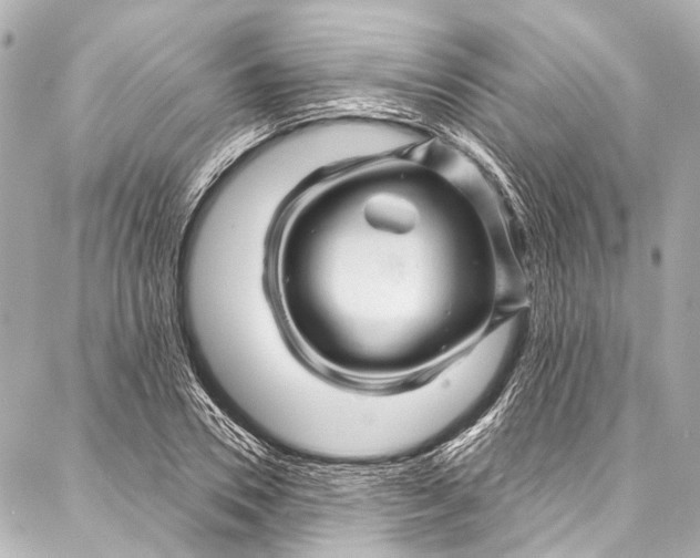 X0000087030930200705071531