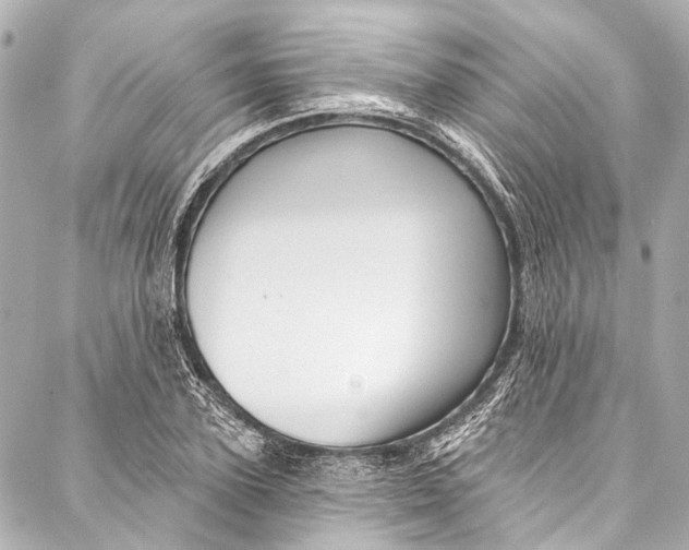 X0000087030931200705071531