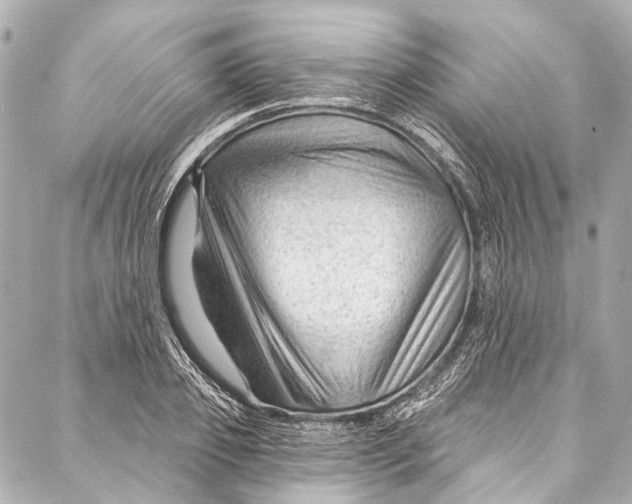 X0000087030933200705071531