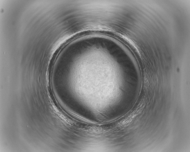 X0000087030935200705071531