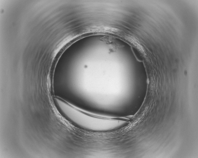 X0000087030936200705071531