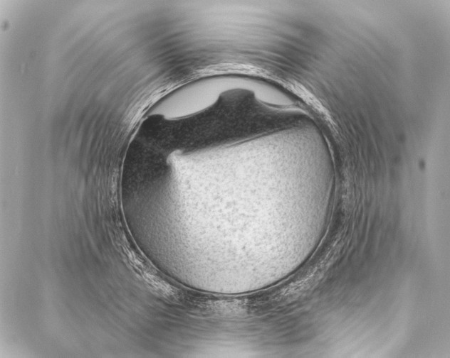 X0000087030937200705071531