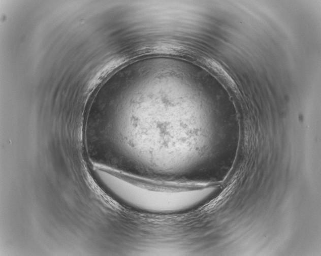 X0000087030938200705071531